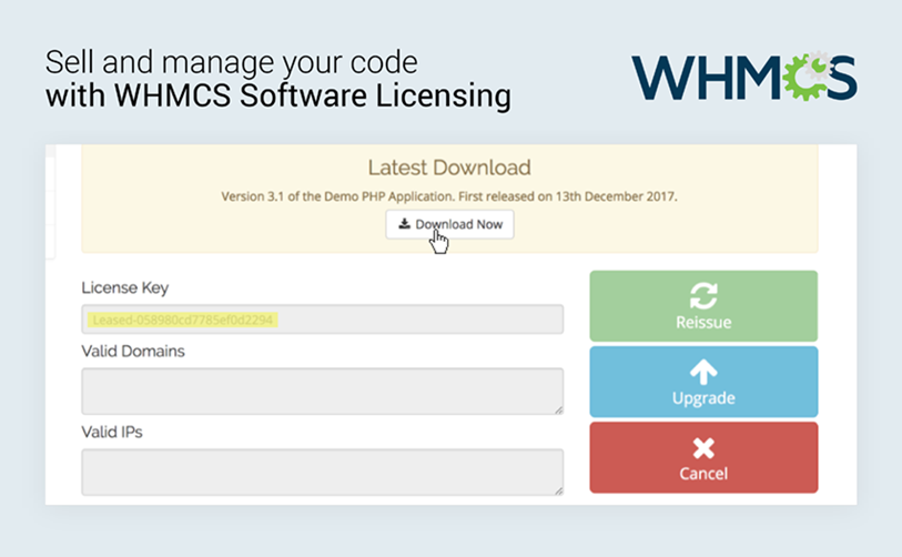 Software Licensing Screenshot 1